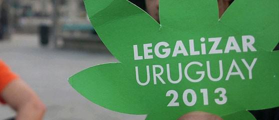 Flugblatt der Pro-Legalisierung-Demonstrationen