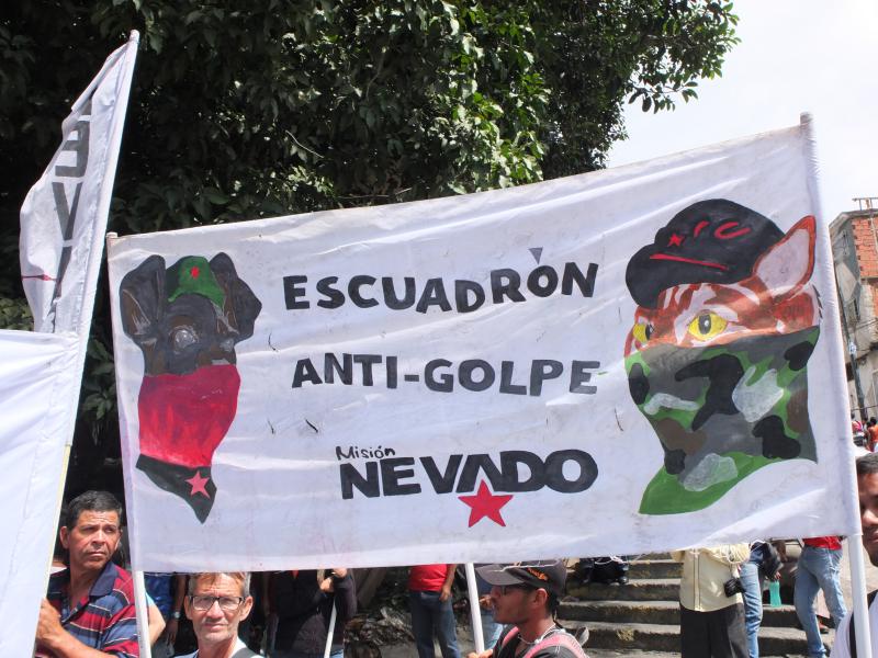 Mit Hunden und anderen Haustieren kommen Vertreter der "Anti-Putsch Einheit Nevado" zur Demonstration. Die Misión Nevado ist ein staatliches Tierschutz-Programm