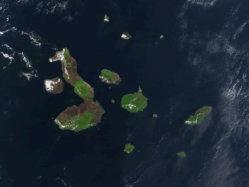 Die Galápagos-Inseln