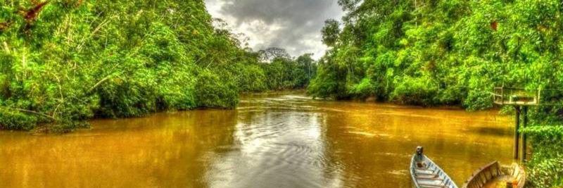 Die Bodenschätze im Yasuni-Nationalpark sollen nach dem Willlen der Mehrheit in Ecuador unter der Erde bleiben