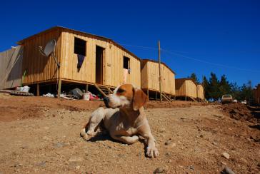 "Mediaguas" genannte Hütten, die nach dem Erdbeben als Notunterkünfte dienen (März 2010) Mediaguas in Chile