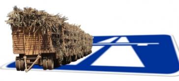 Agrotreibstoffe für Autobahnen