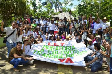Aktivisten in Costa Rica fordern seit Jahren ein Moratorium  für den Anbau gentechnisch veränderter Lebensmittel