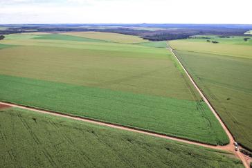Die Umweltbehörde IBAMA dokumentierte im Mai 2018 großflächige Umweltverbrechen in der Region Matopiba Die Umweltbehörde IBAMA dokumentierte im Mai 2018 großflächige Umweltverbrechen in der Region Matopiba