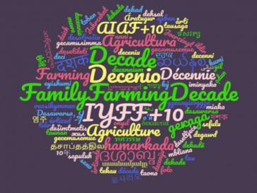 In diesem Jahr hat die Dekade der Familienlandwirtschaft (2019-2028) der Vereinten Nationen begonnen