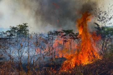 22.478 Brand-Hotspots wurden im Juli 2024 in Brasilien registriert