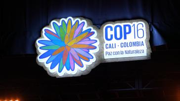Wohlwollende Worte, aber kein Geld aus den reichen Industrieländern bei der COP16 Wohlwollende Worte, aber kein Geld aus den reichen Industrieländern bei der COP16