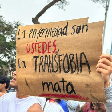 "Die Krankheit seid ihr, Transphobie tötet": Protestaktion gegen das Degierungsdekret