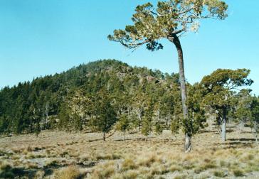 Die Romero-Mine war in der Cordillera Central geplant. Hier im Bild der Pico Duarte, der höchste Berg des Gebirgszugs und der Karibik