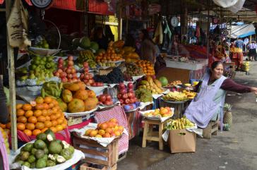 Cochabamba ist nicht nur der Umschlagort für die Obsternte, laut aktuellen Berichten wird hier auch vermehrt Koka angebaut Cochabamba ist nicht nur der Umschlagort für die Obsternte, laut aktuellen Berichten wird hier auch vermehrt Koka angebaut