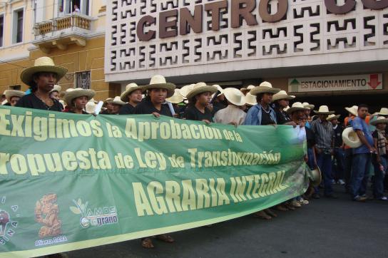 Demonstration von Kleinbauern in Tegucigalpa