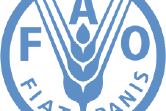 Inschrift im FAO-Logo: "Es werde Brot"