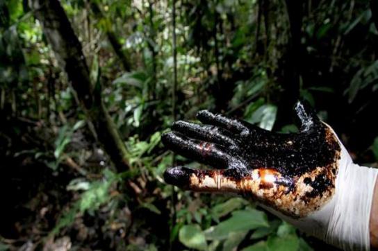 Folgen der Erdölförderung von Chevron in Ecuador