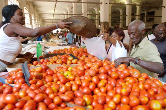 Auf dem Markt "La Palma" in Havanna