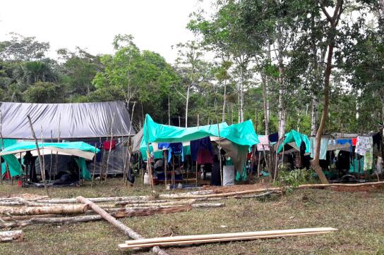 Ein von Farc-Mitgliedern improvisiertes Übergangslager in Puerto Asís in der Provinz Putumayo Die demobilisierten Farc-Mitglieder in Kolumbien müsse Unterkünfte errichten