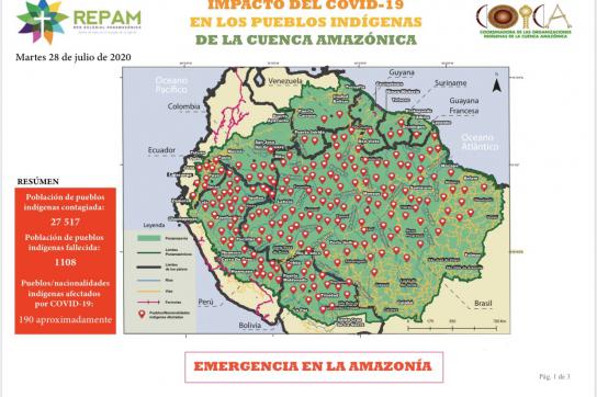 Circa 190 indigene Völker in den neun Anrainerstaaten des Amazonas-Gebiets sind von der Pandemie betroffen