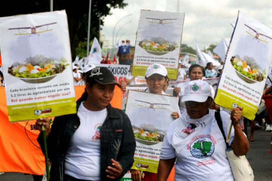 Mit der "Campanha Permanente contra os Agrotóxicos e pela Vida" wehren sich Landarbeiter:innen und indigene Gemeinschaften seit Jahren gegen den Einsatz giftiger Pestizide