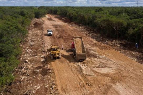 Für den Tren Maya sollen viele Kilometer Urwald gerodet werden