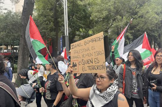 Demo in Mexiko-Stadt. Plakat: "Israel bombardiert Palästina, den Libanon und Syrien. Wer ist der Terrorist?"