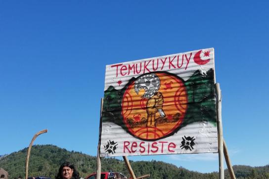 Jorge Huenchullán in traditioneller Kleidung vor einem Schild: "Temucuicui resiste". (Temucuicui leistet Widerstand)