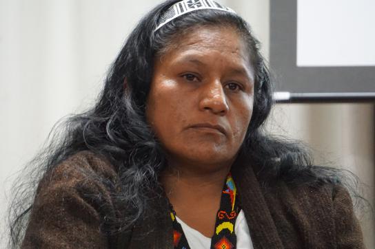 Aida Quilcué setzt sich seit vielen Jahren für Menschenrechte und indigene Völker in Kolumbien ein