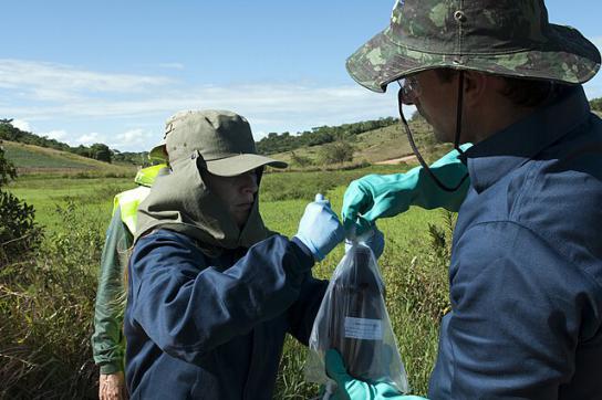 Der landwirtschaftlich geprägte Norden Brasiliens ist von dem intensiven Pestizidgebrauch besonders betroffen