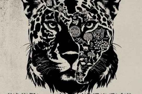 "Wir sind die Macht des Jaguars" steht auf diesem Wahlplakat für Cepeda. Der Jaguar ist vor allem für indigene Gemeinschaften eine Symbolfigur