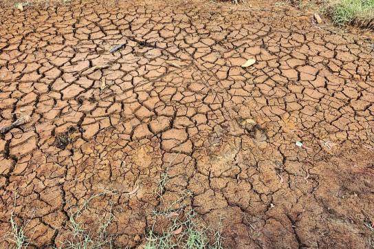 Die Dürre infolge des El Niño-Phänomens hinterlässt bereits ihre Spuren